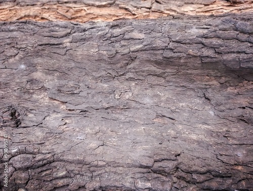 A detailed view of a dark, rough, and cracked surface with a lighter brown band at the top, highlighting a weathered natural texture