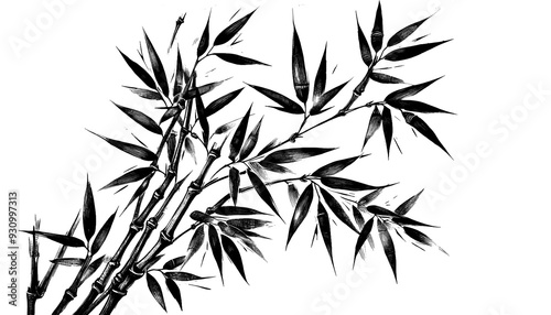 Bamboo silhouette isolated on transparent background