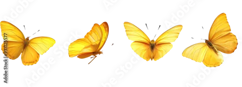 Fototapeta na wymiar yellow butterflies flying in different directions isolated on transparent background