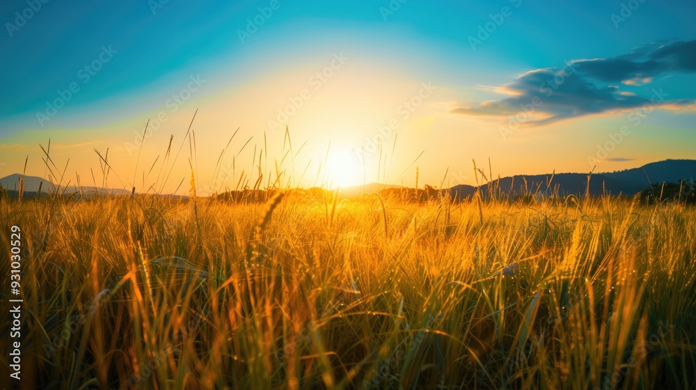 Fototapeta premium Free good morning scene wallpaper background photo