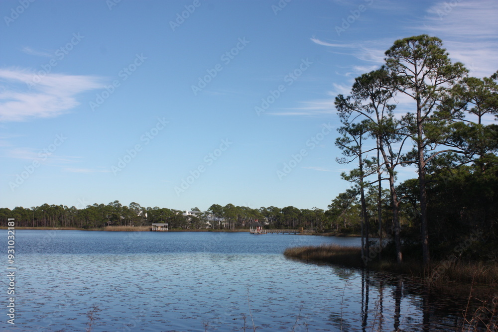 Calm Florida Lake and Trees on 30A Highway Calm Florida Lake and Trees on 30A Highway