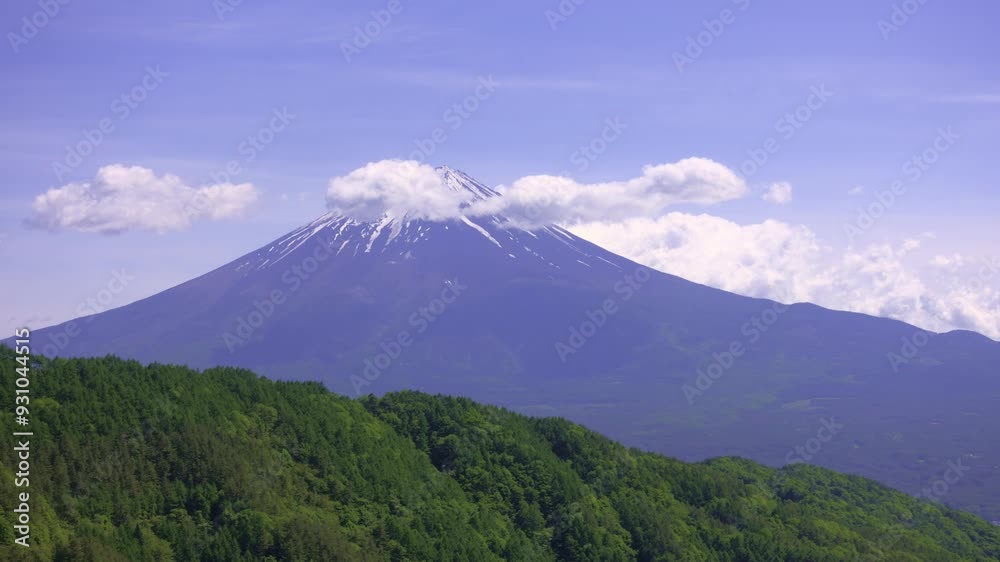 緑の山林越しに望む冠雪した富士山と雲のタイムラプス映像(フィックス) 緑の山林越しに望む冠雪した富士山と雲のタイムラプス映像(フィックス)