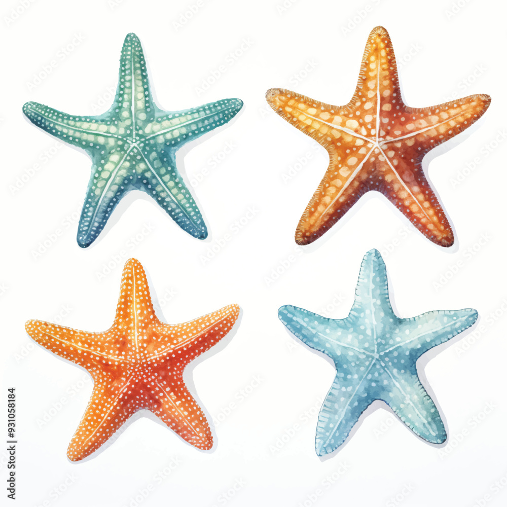 watercolor painting of starfish four collection isolated watercolor painting of starfish four collection isolated