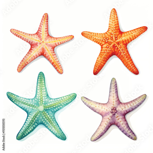 watercolor painting of starfish four collection isolated