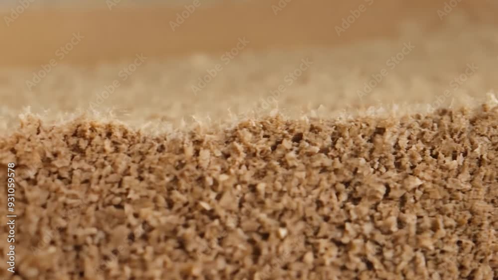 Macrophotography of mold growing on the surface of spoiled food, creating a fuzzy and textured appearance. The image highlights the details and patterns formed by the mold Macrophotography of mold growing on the surface of spoiled food, creating a fuzzy and textured appearance. The image highlights the details and patterns formed by the mold