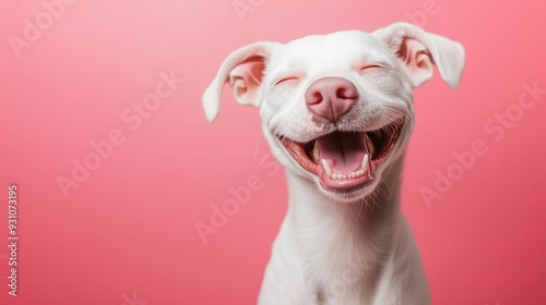 Joyful Smiling Dog in a Cheerful Pink Background photo