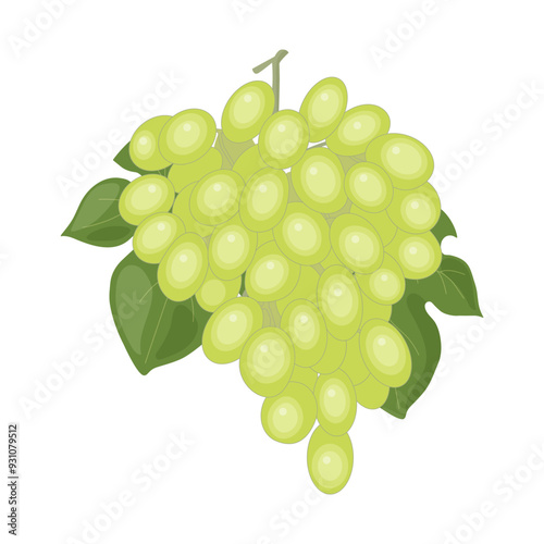 Grape isolated on a white background. Vector illustration, icon of fruits. Bunch of grapes in a hand-drawn style.