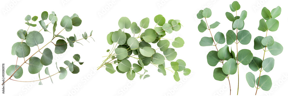 Close up of green leaves showcasing various angles and textures for botanical and nature themes Close up of green leaves showcasing various angles and textures for botanical and nature themes