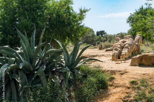 Agrigento, Valley of the Temples photo