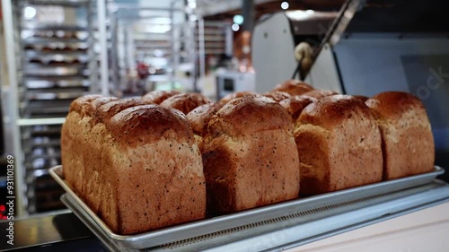Fresh breads on the tray