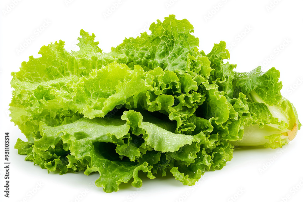 Crisp lettuce isolated on white background Crisp lettuce isolated on white background