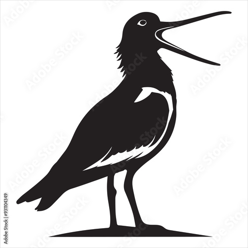 American Oystercatcher Silhouette, Pied Oystercatcher Bird Clipart, American Oystercatcher calling illustration in black and white
