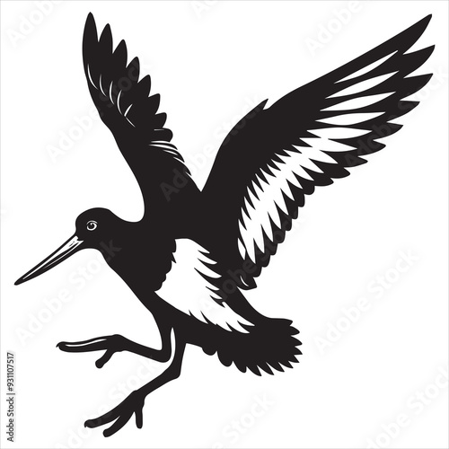 American Oystercatcher Silhouette, Pied Oystercatcher Bird Clipart,  American oystercatcher landing illustration in black and white

