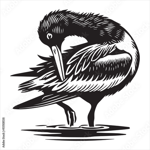 American Oystercatcher Silhouette, Pied Oystercatcher Bird Clipart,  American oystercatcher preening illustration in black and white
