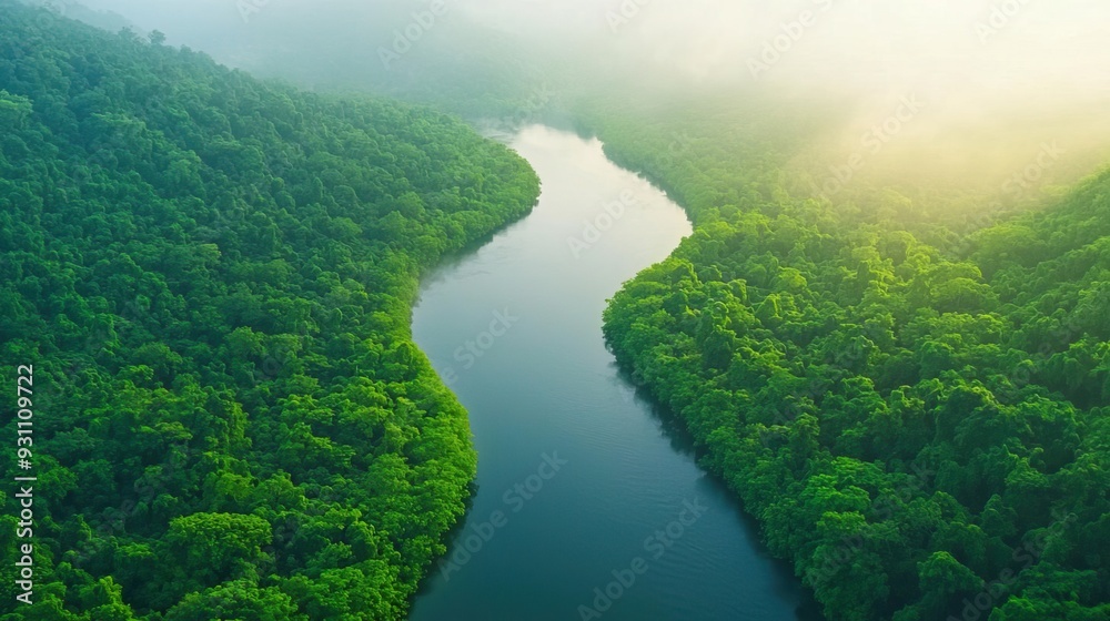 Aerial view of a winding river flowing through a lush green forest. Aerial view of a winding river flowing through a lush green forest.