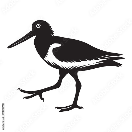 American Oystercatcher Silhouette, Pied Oystercatcher Bird Clipart,  American oystercatcher walking illustration in black and white
