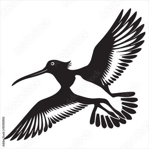 American Oystercatcher Silhouette, Pied Oystercatcher Bird Clipart,  American oystercatcher wings curved  illustration in black and white
