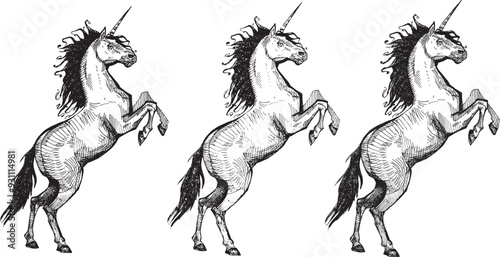 Vector line drawing unicorn clip art sketch illustration cartoon character realistic fabulous animal hand drawn engraving horse coloring modern design girl princess theme card black and white graphic