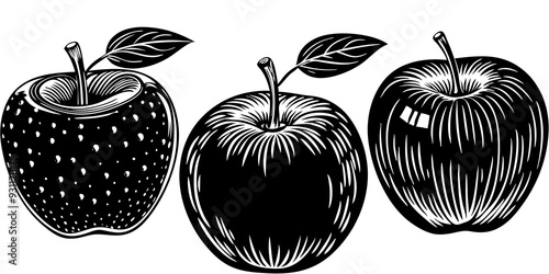 vector illustration of an apple