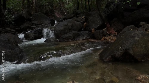 Stream flows through rocks in a deep forest.