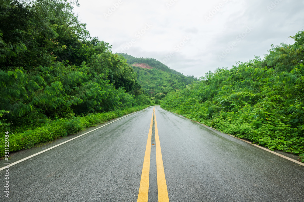 Fototapeta premium Wet asphalt road with beautiful view of landscape