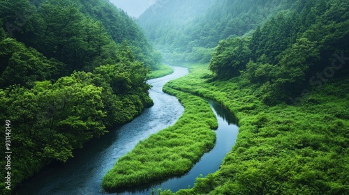 Serene River Winding Through Lush Green Forest