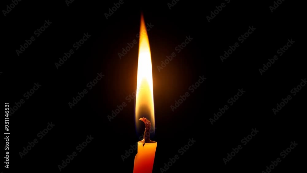 A single lit candle with a warm glow isolated against a black background, symbolizing hope and solitude.
A single lit candle with a warm glow isolated against a black background, symbolizing hope and solitude.