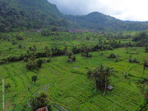 Aerial view of Sidemen Rice Terrace in Sidemen, Karangasem, Bali, Indonesia