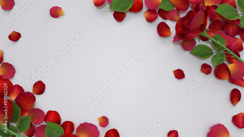 Red Roses and petals on white background