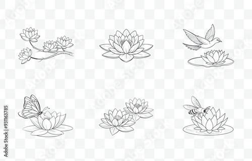 Print Elegant Water Lily Flower Line Art Vector Set for Floral Illustrations and Botanical Designs

