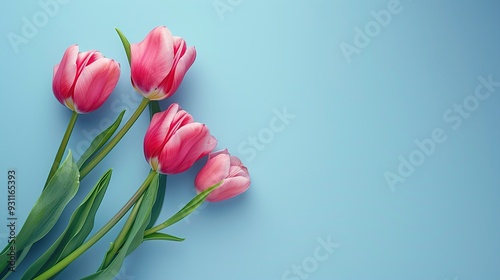 spring tulips in pink with a tranquil blue setting