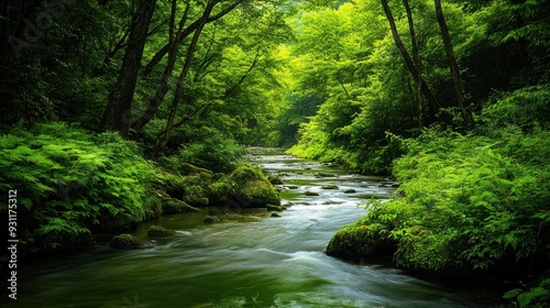Serene River Flowing Through Lush Green Forest