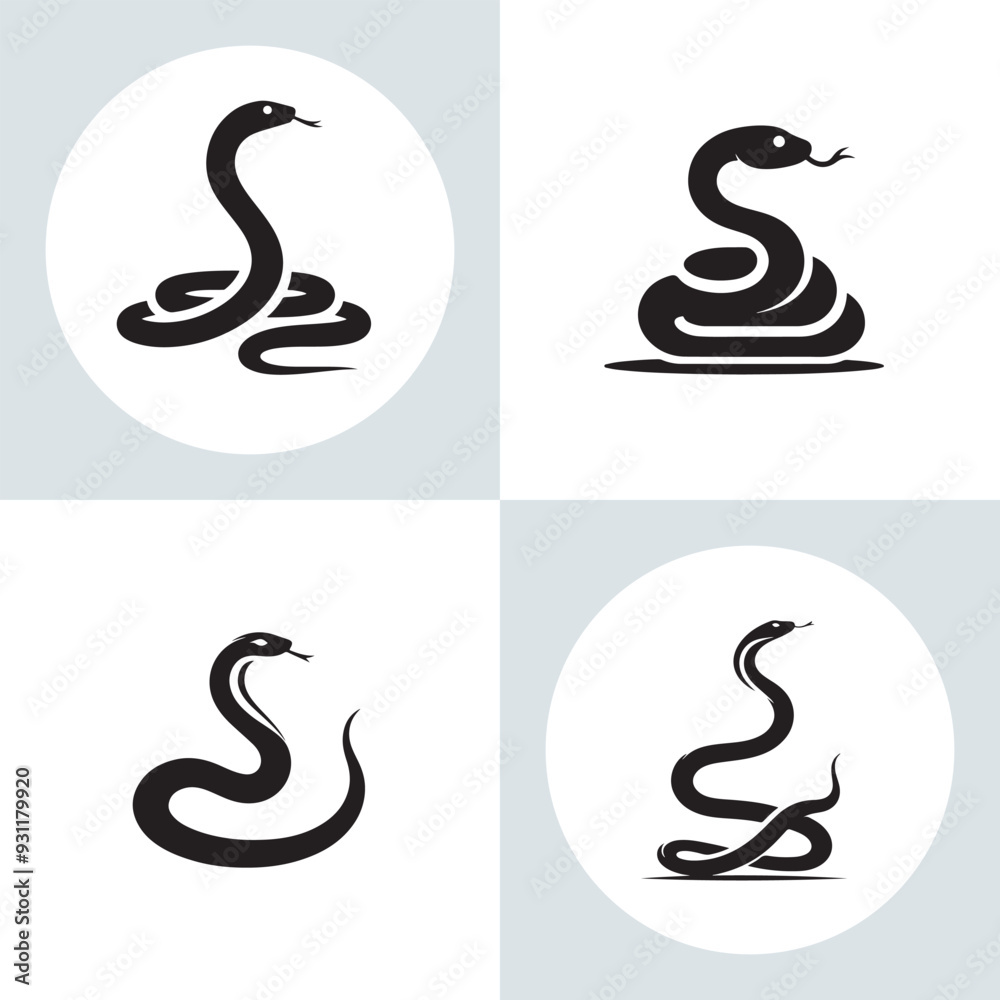 Fototapeta premium Snake vactor
