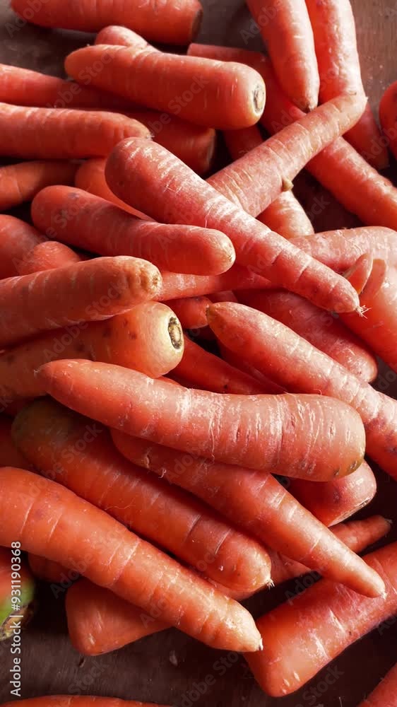pile of fresh carrots from the harvest. vertical videos pile of fresh carrots from the harvest. vertical videos