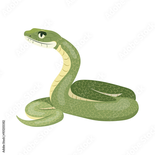 Cartoon tropical snake. Vector illustration exotic green serpent isolated on white background. Symbol of the year design element.