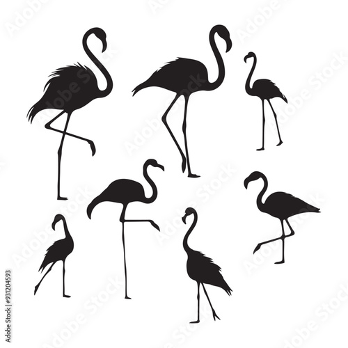 Set of silhouettes of flamingo birds ,Flamingo silhouettes set, large pack of vector silhouette design, isolated white background
