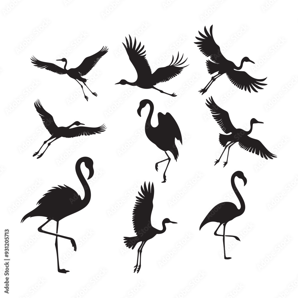Fototapeta premium Set of silhouettes of flamingo birds ,Flamingo silhouettes set, large pack of vector silhouette design, isolated white background