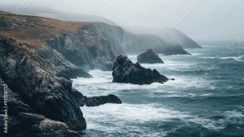 Rugged Coastline with Mist