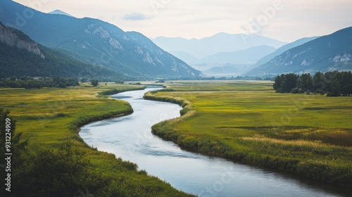 Serene River Valley in the Mountains