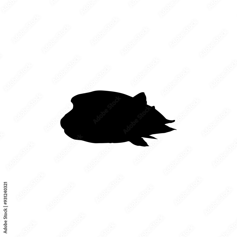 Silhouette of the The Humphead wrasse (Cheilinus undulatus), also known as the Māori wrasse, Napoleon wrasse, Napoleon fish. Flat Style, can use for Logo Gram, Animal Illustration, Pictogram, ect Silhouette of the The Humphead wrasse (Cheilinus undulatus), also known as the Māori wrasse, Napoleon wrasse, Napoleon fish. Flat Style, can use for Logo Gram, Animal Illustration, Pictogram, ect