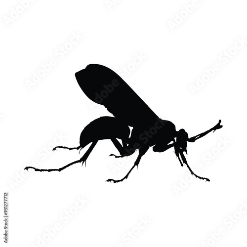 Insects, Ant, Cockroach, mosquito, Icon, Icon set, Insects Icon Set, Insects Icon Set