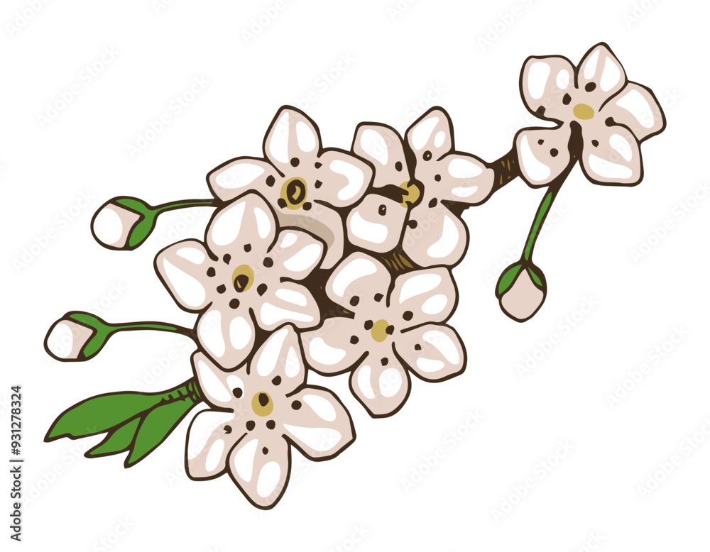 Fototapeta premium Plum branch in spring blossom