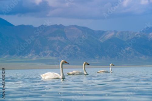 Sailimu lake, or Sayram lake, an endorheic freshwater lake in the northern Tianshan Mountains, Bortala Mongol Autonomous Prefecture, Xinjiang Uyghur Autonomous Region, China photo