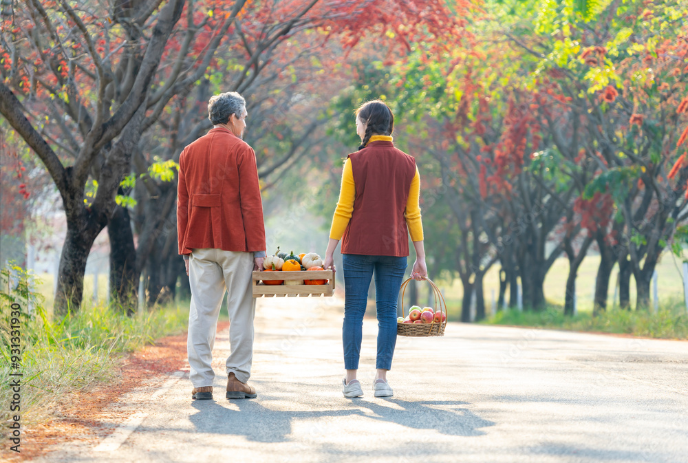 Obraz premium back view,father and daughter carrying harvested fruits in wooden storage crate together walking along the street,happy family working in nature,concept of seasonal fruit picking,harvesting in autumn