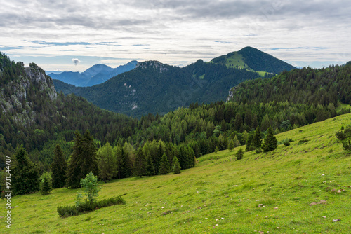 A view to the green Chiemgau nature while hiking 