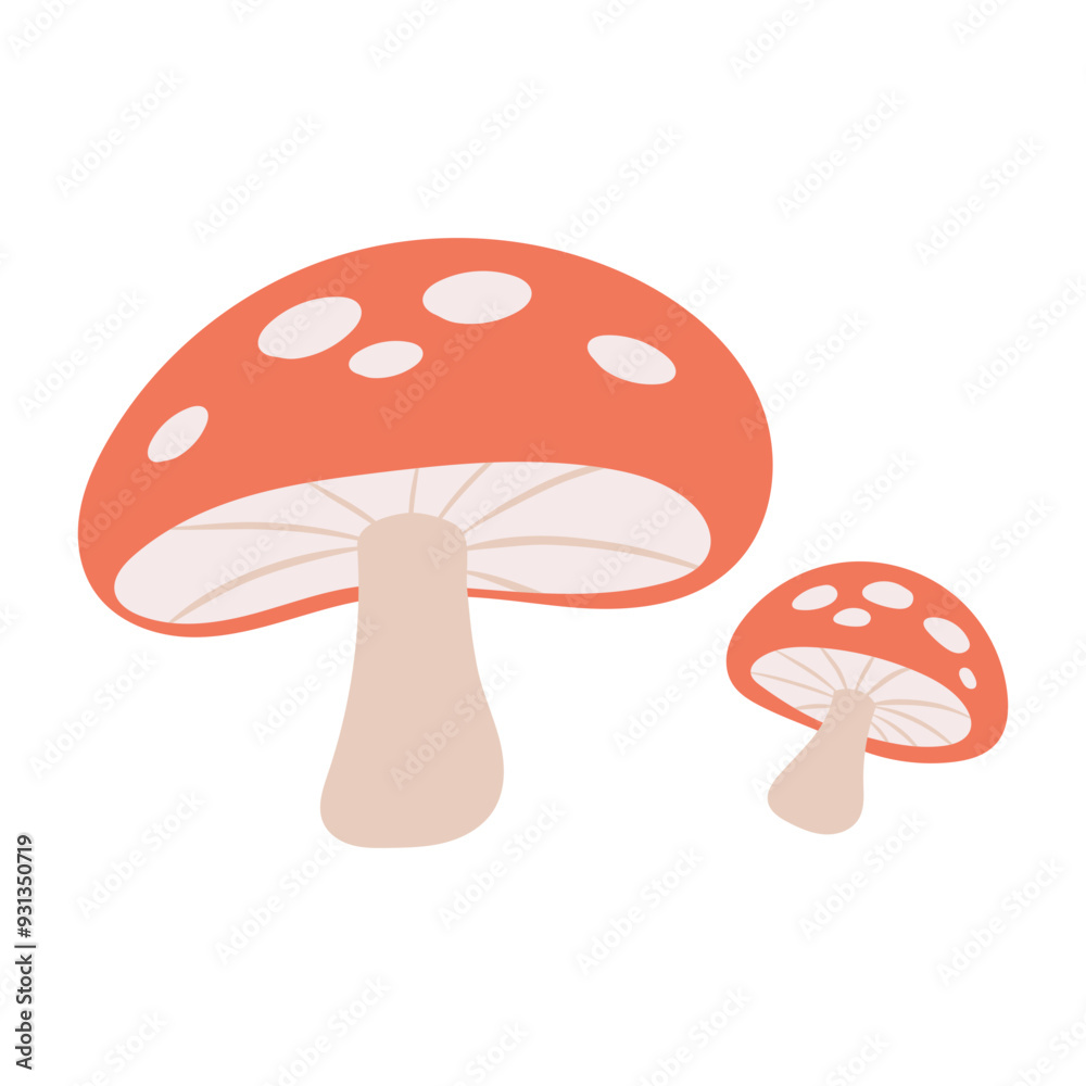 Mushrooms vector illustration Mushrooms vector illustration