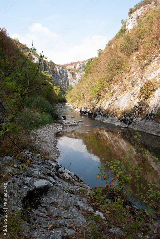 The river in the mountain canyon in autumn