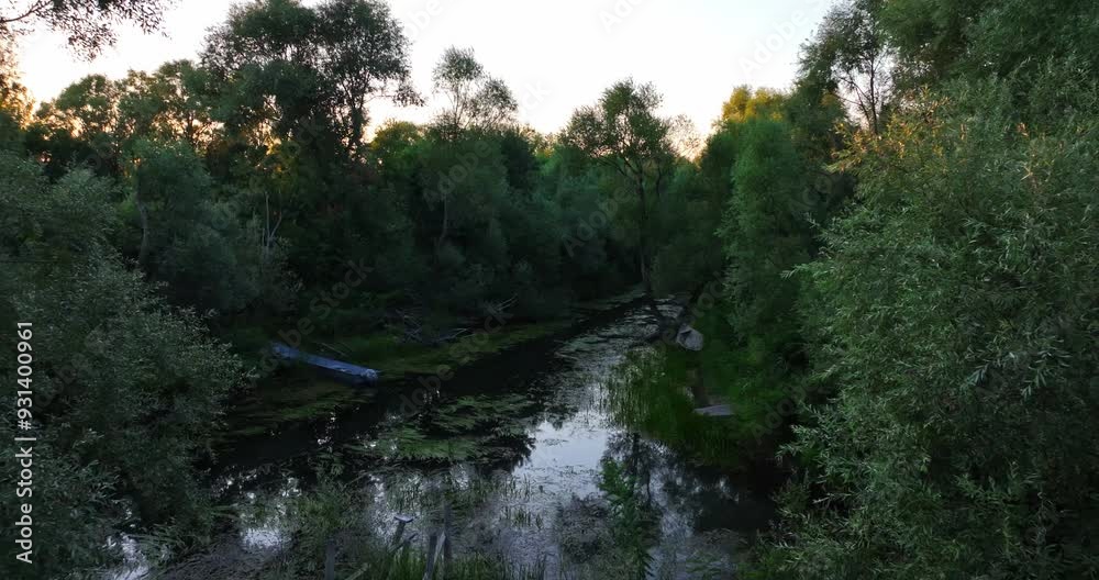 Drone flying between wild forest over a river and boats in Skadar lake, Montenegro Drone flying between wild forest over a river and boats in Skadar lake, Montenegro