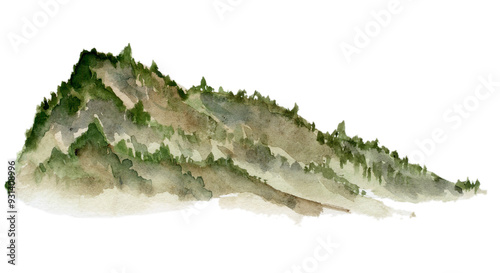 Scenery landscape grassy land alpine vista, hill mountain with dense forest fir spruce trees, hand drawn in watercolor. Single isolated element for tourism, resort ads, hiking camping sites vacation.
