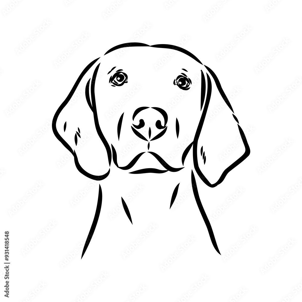 Happy American Foxhound peeking dog. Foxhound portrait. Black and white vector illustration.